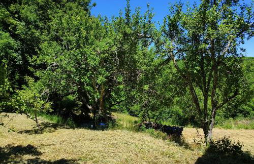 La Combe aux oiseaux - Photo 18