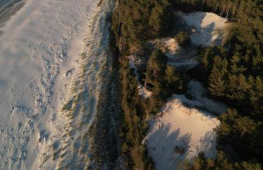 Domki w Naturze - Foto 58