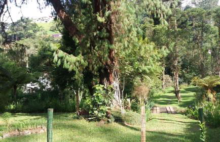 Chalé Honeycomb em Visconde de Mauá - Foto 6