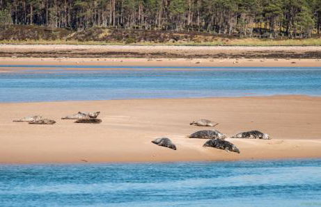 The High Croft - Foto 33