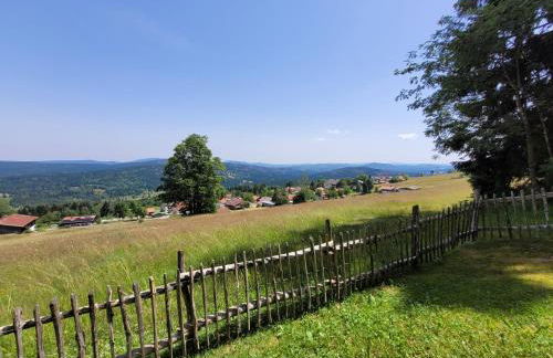 Mitterdorf - apartmán Almberg - Foto 24