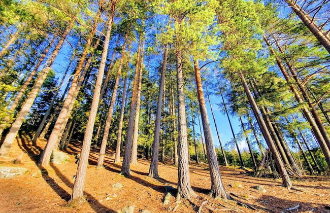 6 Person Holiday Home in Vreta Kloster - Foto 13