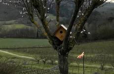 Incantevole Mugello - Foto 79