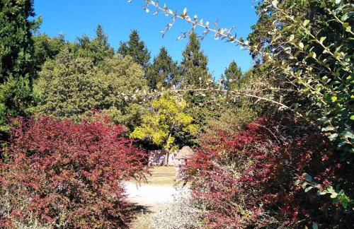 Locanda Rosati - Foto 74