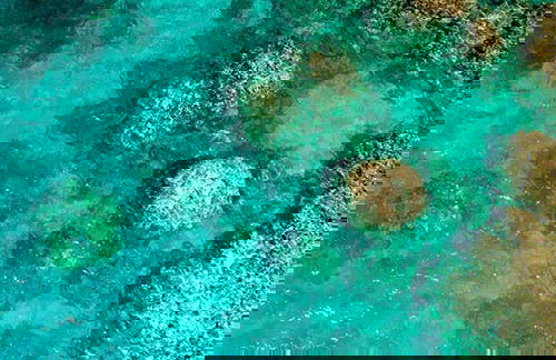 Snorkeling dans la Grande Barrière de Corail - Photo 4