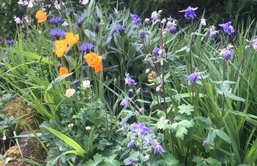 Holiday Home Idyllisches Landhaus Rosemary by Interhome - Photo 21