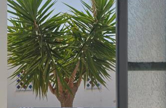 Athos Studios - Foto 12