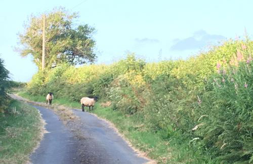 Red Kite Cottage - Foto 54