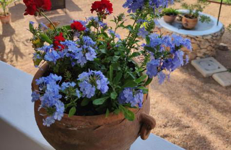 Beach and Tennis - Foto 11