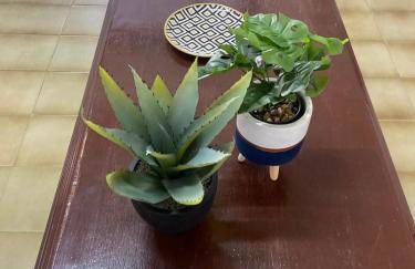 Casa na Serra de Martins - Foto 41