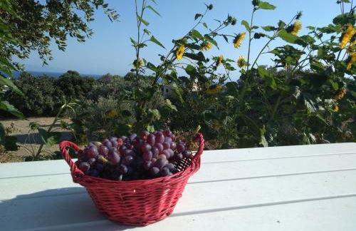 Stan&Family - Foto 11