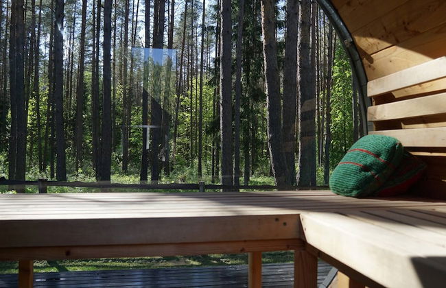 Metai Miške&a Year in the Forest - Photo 37