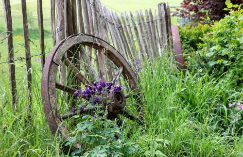 Hofgut Uhenfels - Photo 15