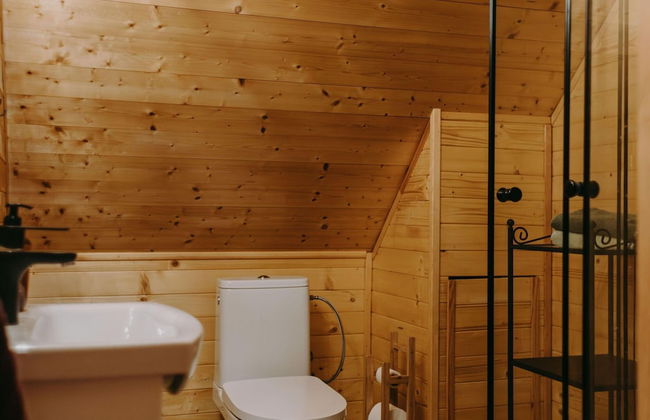 Holiday Home by Lake Zarnowieckie With Sauna - Photo 15