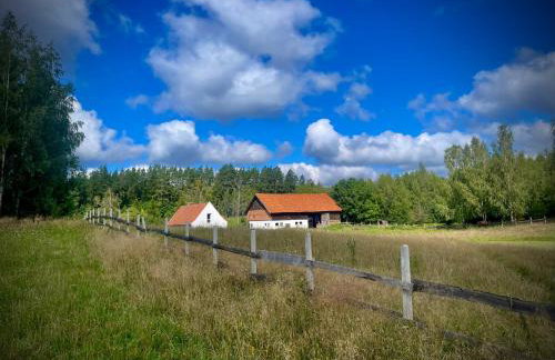 Żurawi klangor - dom z sauną i jacuzzi - Foto 9