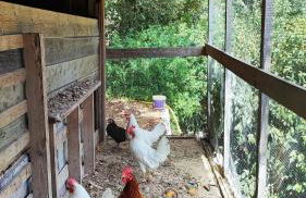 Casa Don Carmelo-Holiday' s Food Experience - Foto 12