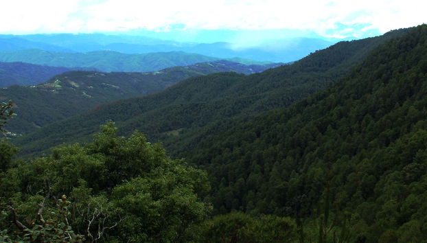 Hiking in the Sierra Norte in Oaxaca - Foto 5