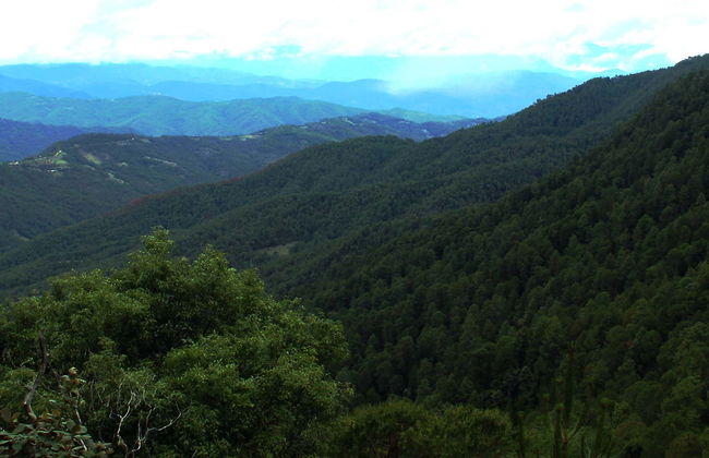 Hiking in the Sierra Norte in Oaxaca - Foto 5