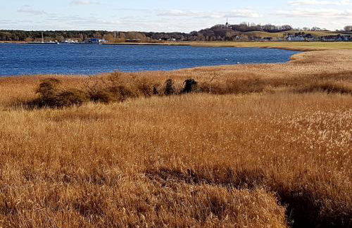 Ferienwohnung Bergholz - Foto 7