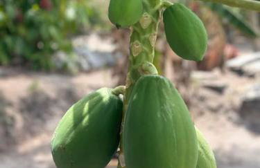Lugar para descansar com a familia - Foto 47