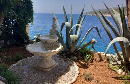 Apartments Ranko - Foto 15