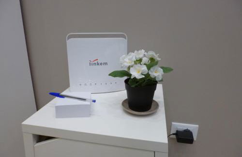 Stephen Accommodation - Foto 8