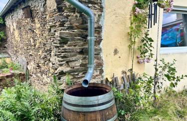 Mosel Urlaub Stabenhof - Whirlpool, Natur und Grill - Foto 59