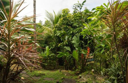 a casinha - Photo 38