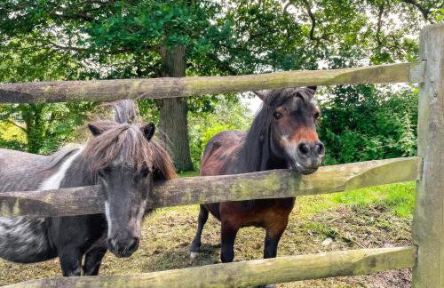 Penfound Country Cottage - Foto 12