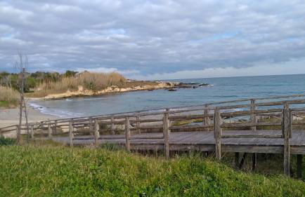 B&B Lu Palummaru - Foto 35