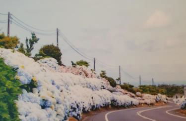 Apartamento T3 Ponta Delgada - Photo 48