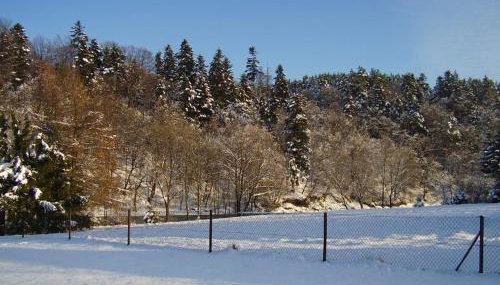 Pod Orzechem - Photo 3