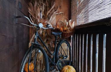 Galoma Korana - Foto 19