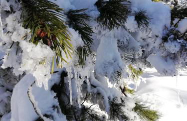 Erzgebirgshaus Zirbenliebe - Foto 35
