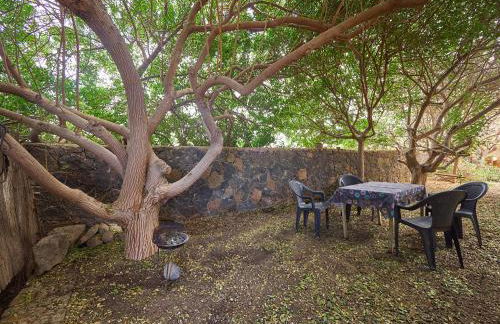 Molino de el Roque - Foto 22