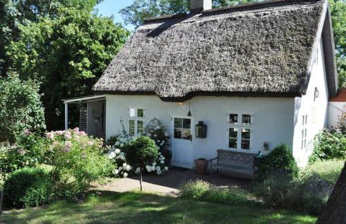Zauberhaftes englisches Cottage am Gutshaus - Foto 1