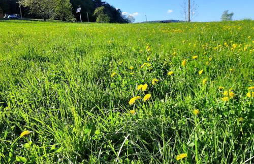 Domek pod Skiełkiem - Photo 19