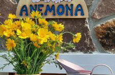 Anemona Apartment - Foto 56