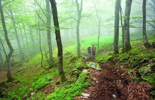Los Molinos - Atico en Montaña de Asturias - Foto 42