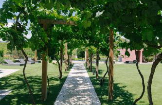 Quinta Vale de Sousa - Douro Valley - Foto 144