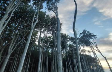 Ferienwohnung Küstenanker - Foto 22