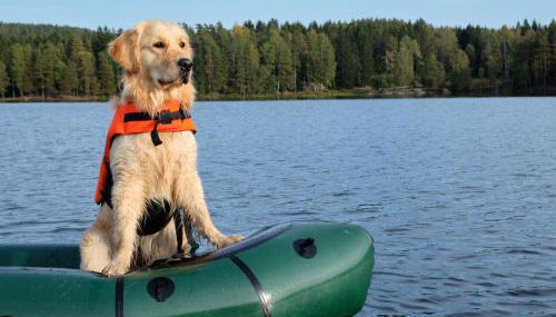 The Cedar House Prime Spot Kayaks & Cool AC - Foto 4