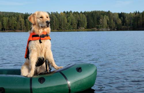 The Stew Cabin Cozy Escape Fireside Memories - Foto 6