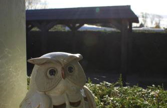 Ferienhaus Strandkiefer - Foto 5