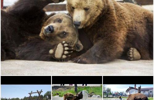 Vacation House Home, Plitvice Lakes National Park - Foto 36