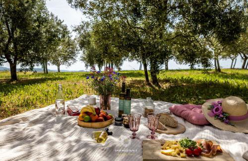 Casa Mille Olivi 2 - House with Private Pool & Lake View near Motovun - Photo 36