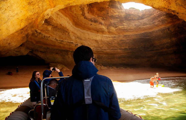 Dolphin Watching in Albufeira - Photo 4