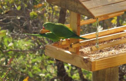 Chácara Recanto Vista Verde - 20 minutos do Plano Piloto - Foto 60