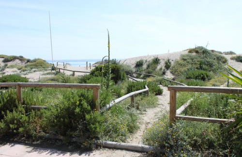 Romana Playa - Photo 36