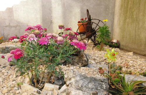 FESTINA IVANa - Foto 29